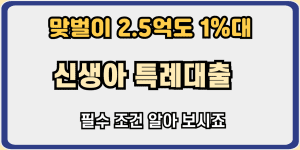 신생아특례대출