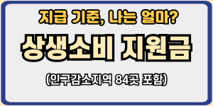 상생소비지원금