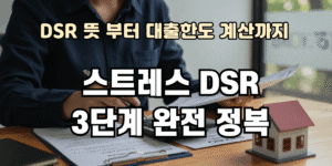 스트레스 DSR 3단계 완전 정복