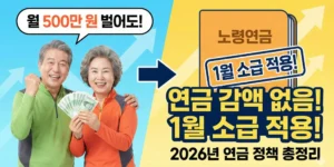 노령연금 소득 기준이 바뀌어 월 500만 원을 벌어도 연금이 깎이지 않습니다.